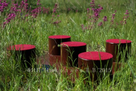 вин чун тренажёр пять столбов с наклейками от скольжения тренажёр вин чун  пять столбов