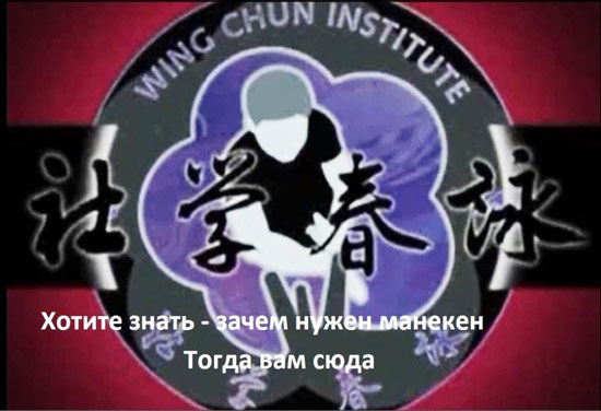 вин чун манекен обучение вин чун манекен обучение