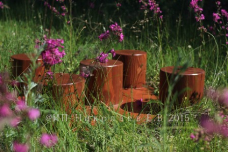 вин чун тренажёр пять столбов вин чун тренажёр пять столбов